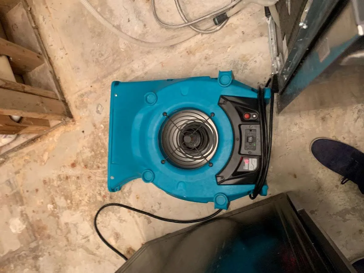 Air mover drying equipment for Mold Remediation & Removal in Brushy Creek